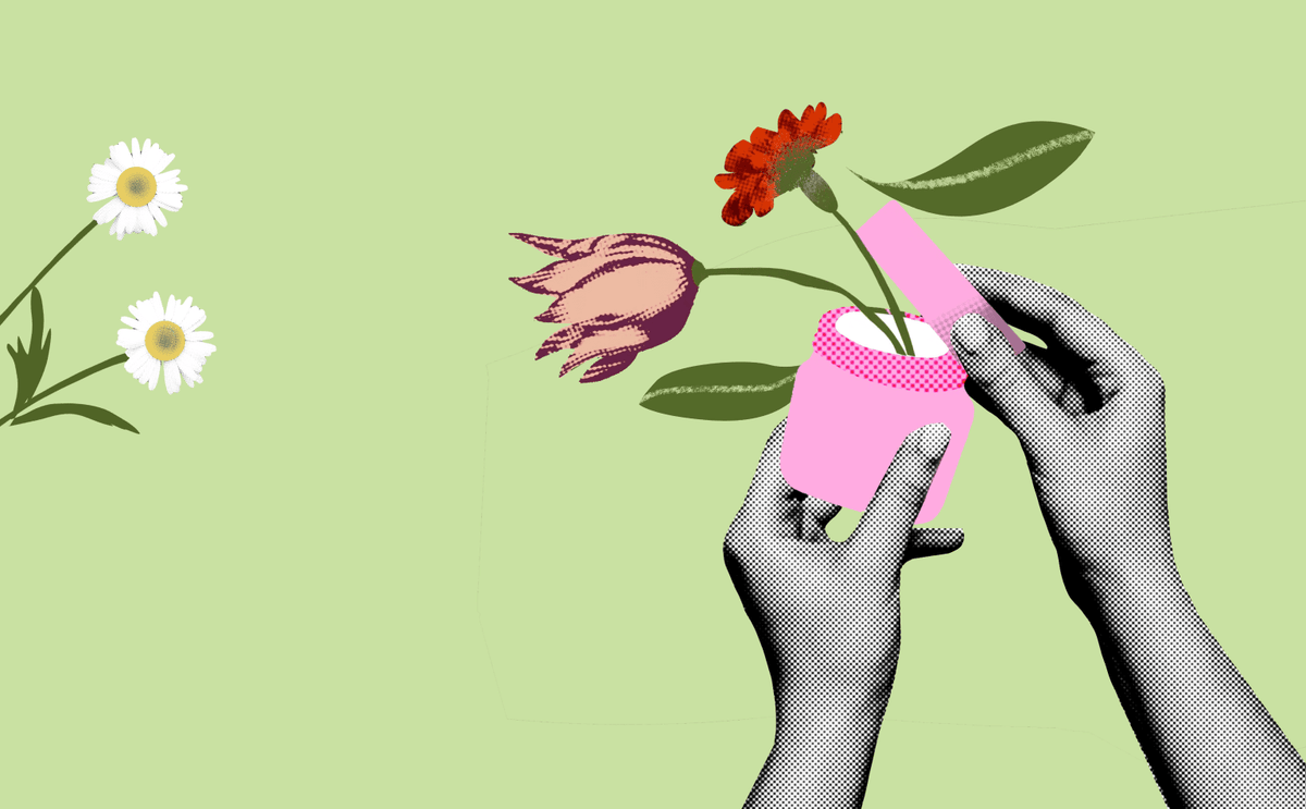 Fitoterápicos para menopausa: planta é ciência raiz 🌿